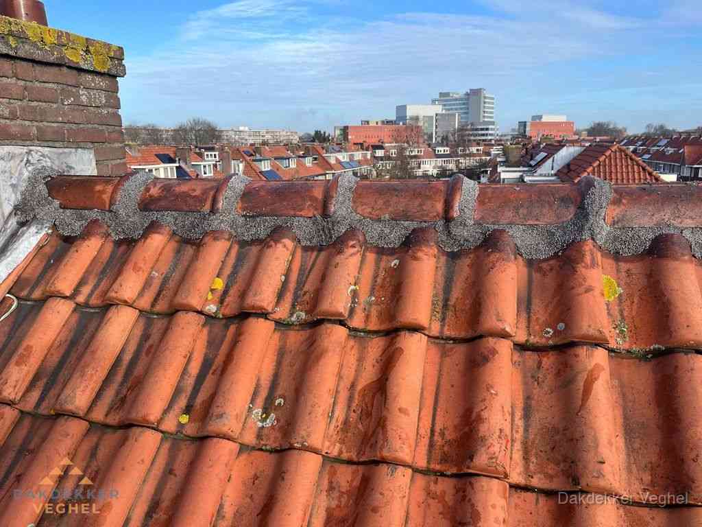 Nieuw bitumen plat dak met uitzicht over woonwijk in Veghel Nieuw bitumen plat dak met uitzicht over woonwijk in Veghel