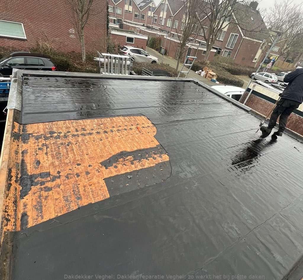 Dakleer Reparatie Veghel