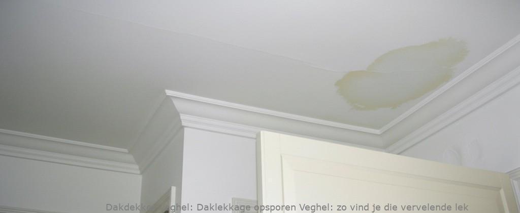 Daklekkage Opsporen Veghel 1