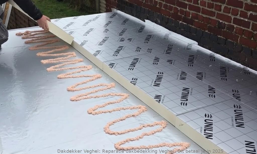 Reparatie Dakbedekking Veghel