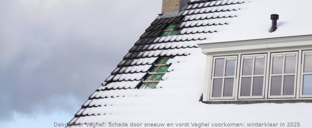 Schade Door Sneeuw En Vorst Veghel